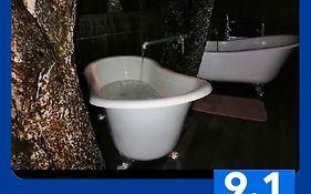 Tree House 4 Two